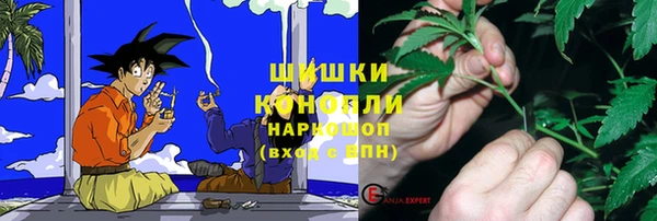 бутират Белокуриха