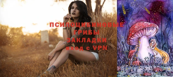 бутират Белокуриха