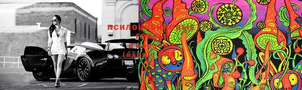 бутират Белокуриха
