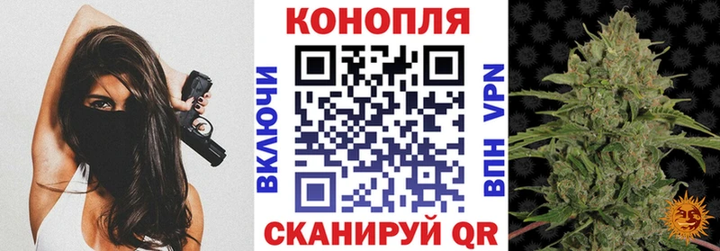 Марихуана семена где купить наркоту Владивосток